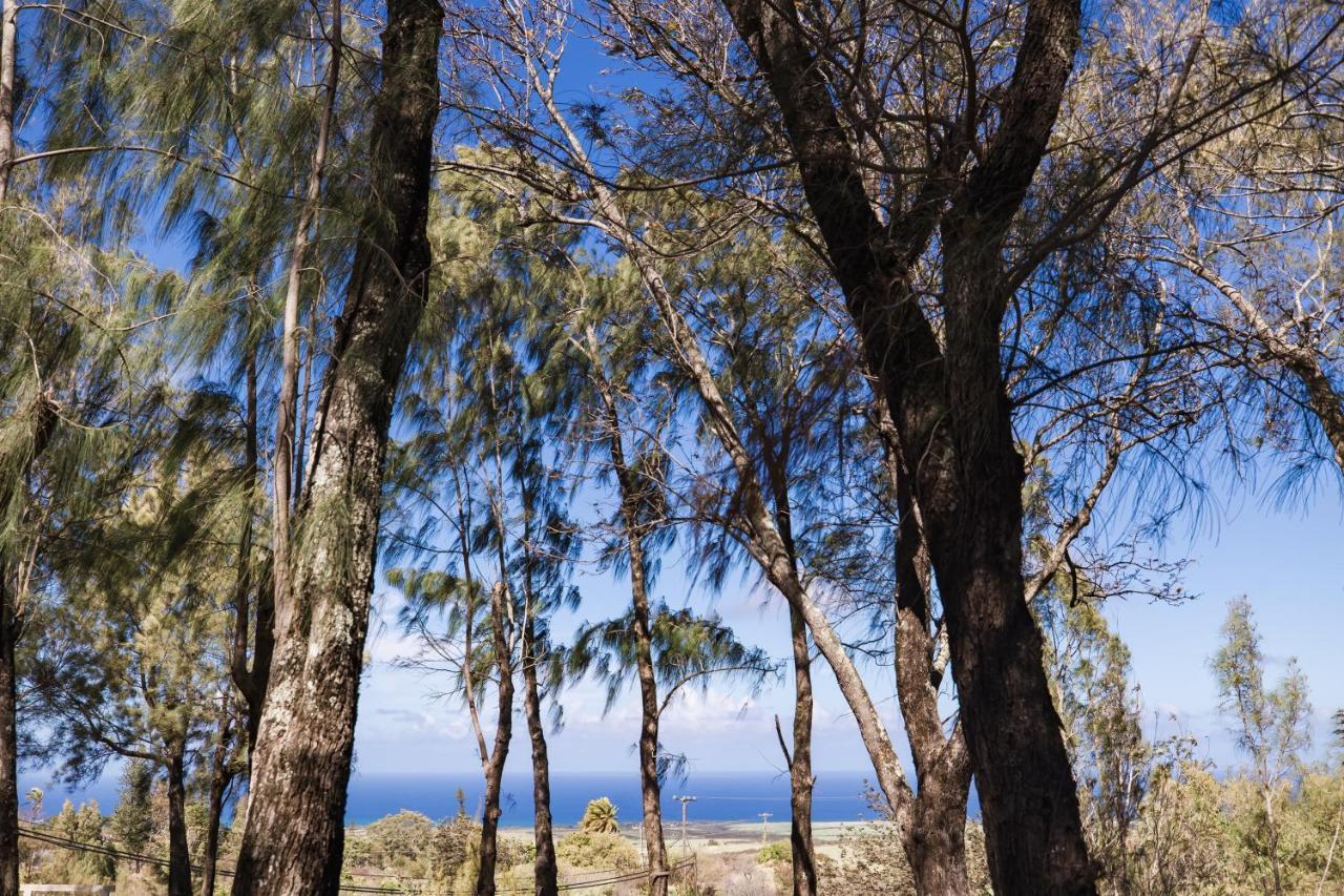 Lumeria Maui, Educational Retreat Center Makawao Extérieur photo